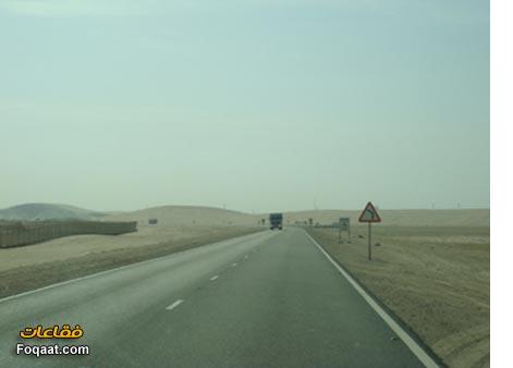 :	q1.jpg
: 447
:	11.4 