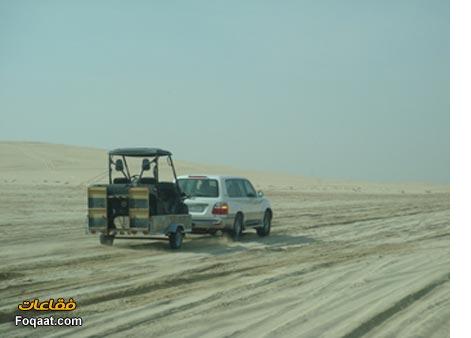 :	3.jpg
: 450
:	16.2 