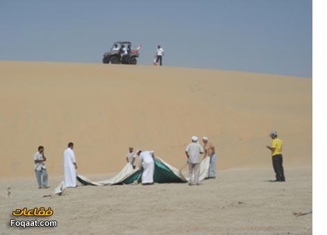 :	5.jpg
: 475
:	12.6 