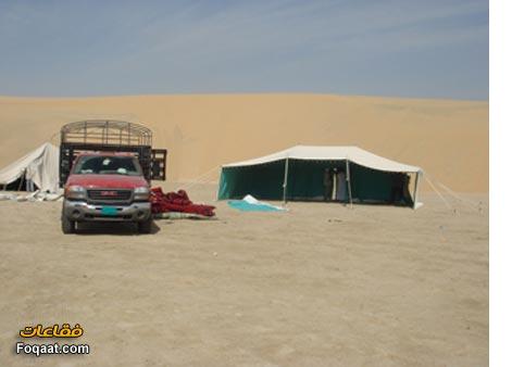 :	6.jpg
: 447
:	16.0 