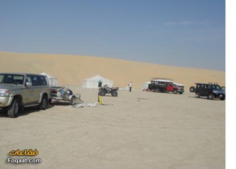 :	7.jpg
: 429
:	14.4 