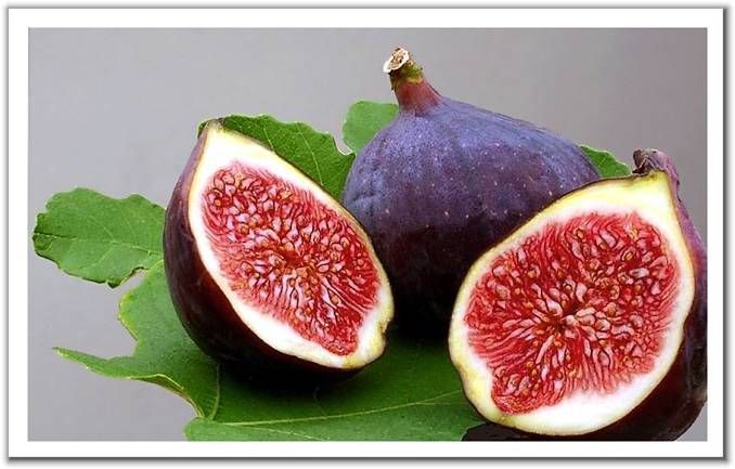 :	untitled.jpg
: 450
:	51.5 