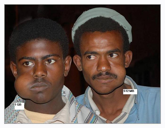     

:	pic14343.jpg
:	230
:	77.3 
:	1111