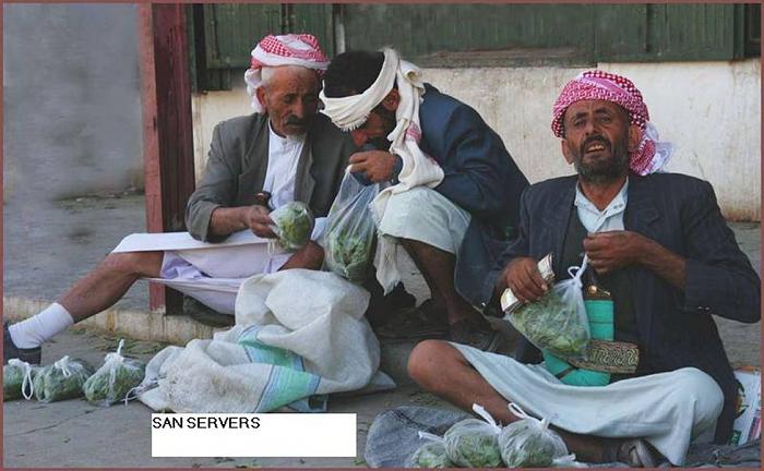     

:	pic09503.jpg
:	242
:	71.5 
:	1113