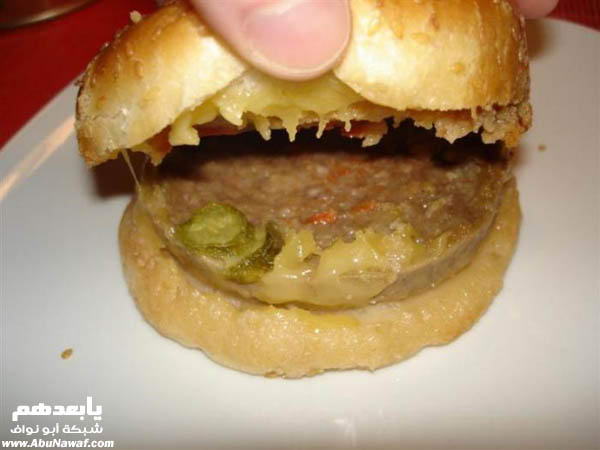 :	hamburger_5.jpg
: 262
:	36.5 