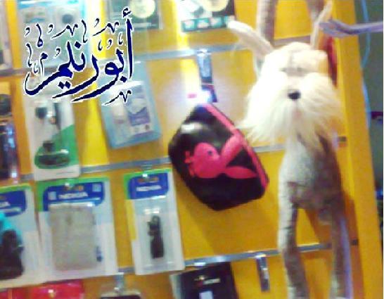 :	Play Boy5.jpg
: 1419
:	37.5 