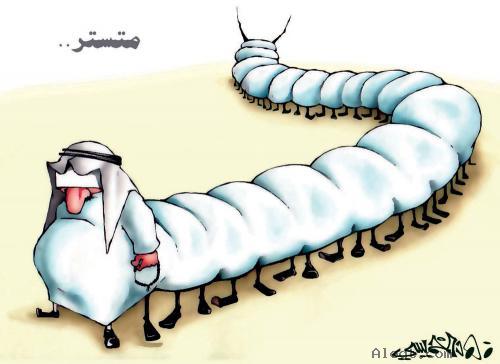 :	2432.jpg
: 421
:	24.2 