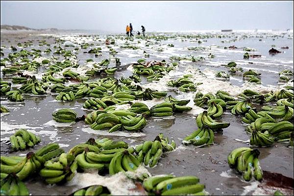 :	Pan.jpg
: 254
:	71.4 