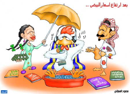 :	569139_1.jpg
: 675
:	26.8 