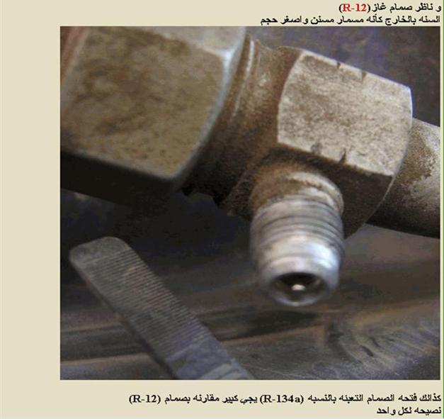 :	11223344.jpg
: 323
:	41.1 