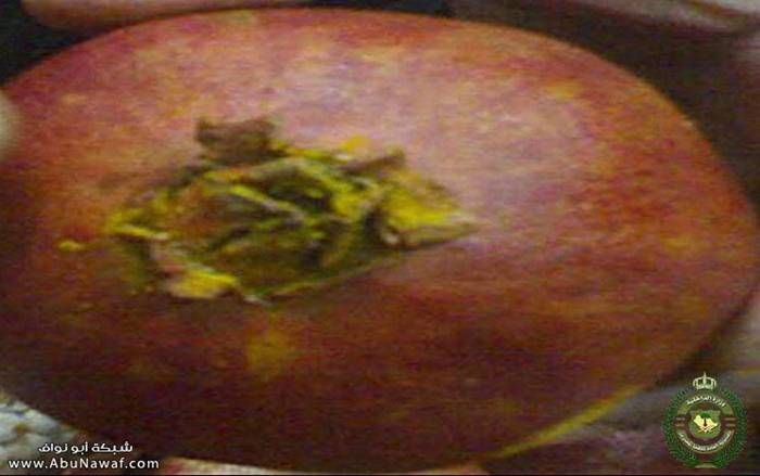 :	4.jpg
: 393
:	36.3 