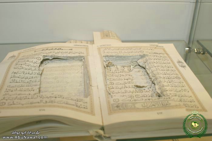 :	1.jpg
: 340
:	41.3 