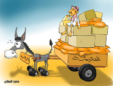 :	612545_1.jpg
: 535
:	41.8 