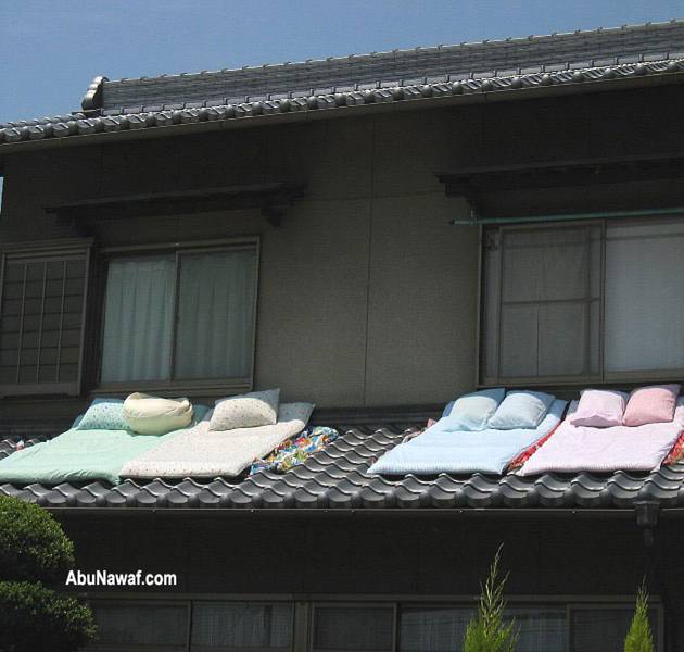 :	image005.jpg
: 266
:	44.0 