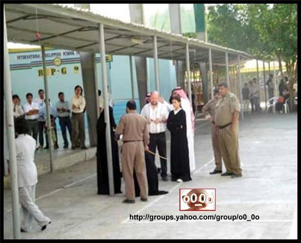 :	22.jpg
: 239
:	44.6 