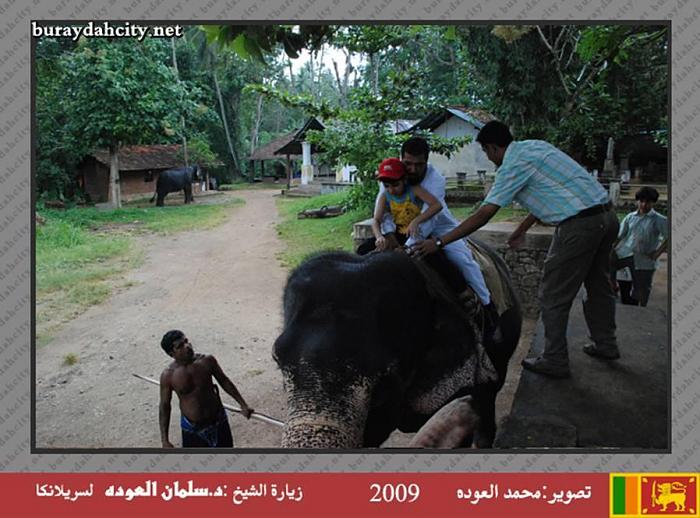     

:	o4.jpg
:	361
:	89.0 
:	2515