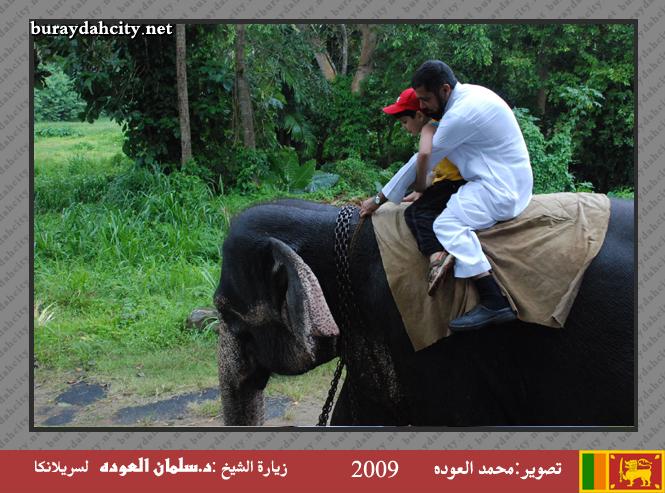 :	o2.jpg
: 424
:	66.5 