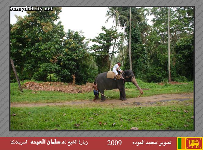 :	o1.jpg
: 390
:	81.5 