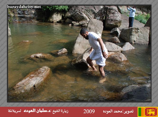 :	oo8.jpg
: 431
:	64.6 