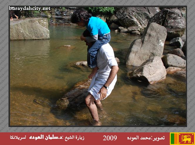 :	oo9.jpg
: 410
:	62.1 