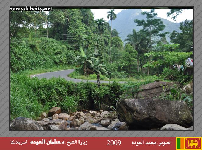 :	oo20.jpg
: 416
:	81.3 