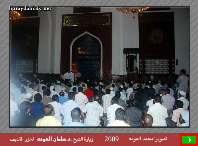 :	oo28.jpg
: 375
:	51.0 