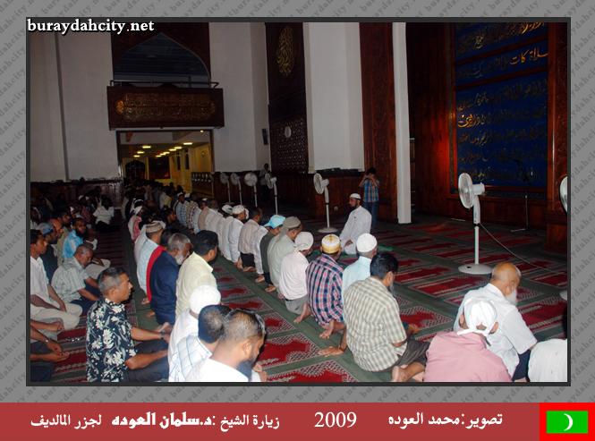 :	oo30.jpg
: 403
:	57.5 