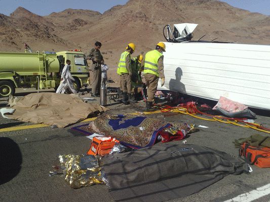 :	3.jpg
: 1035
:	51.5 