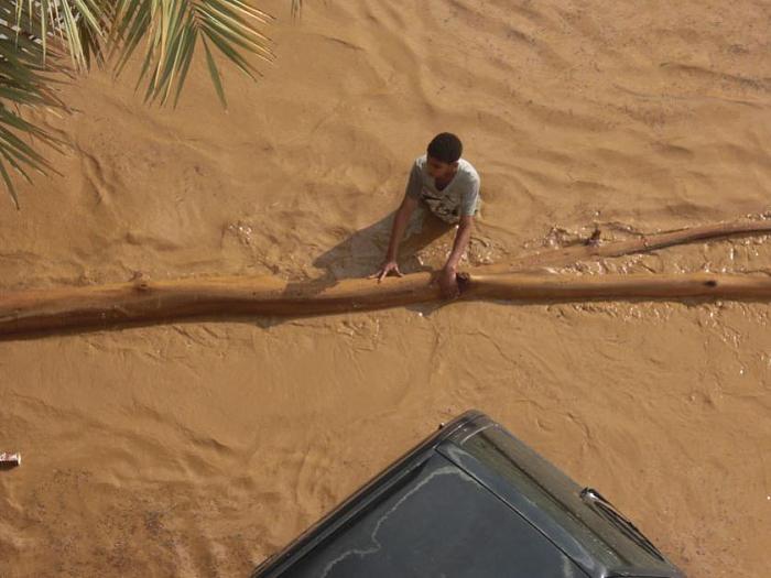     

:	c0fe2385ed.jpg
:	228
:	60.3 
:	2761