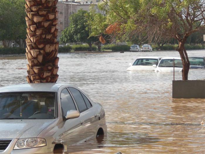 :	d10888f368.jpg
: 425
:	66.0 