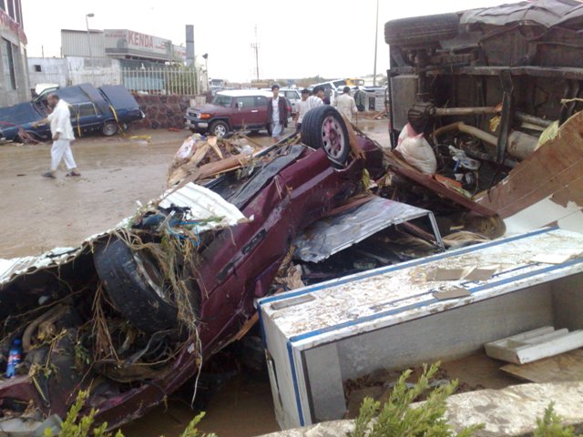 :	tYu54372.jpg
: 683
:	76.2 