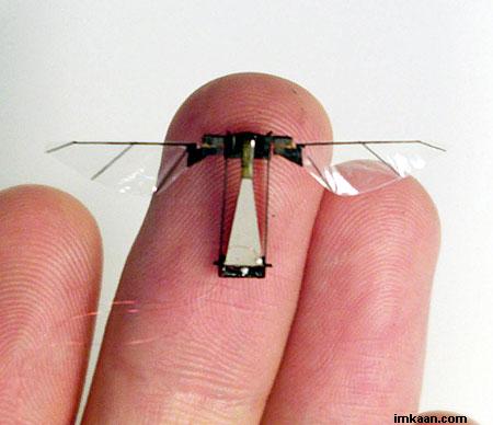 :	ATT197762.jpg
: 250
:	22.4 