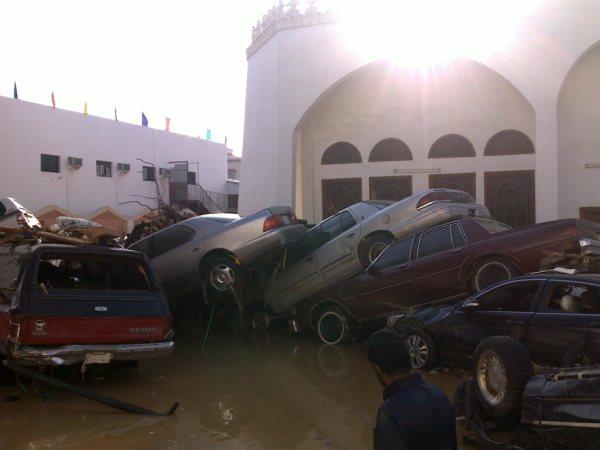 :	0.jpg
: 685
:	31.5 