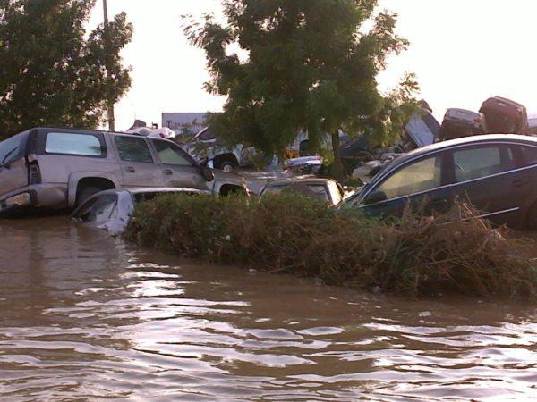 :	1.jpg
: 569
:	54.0 