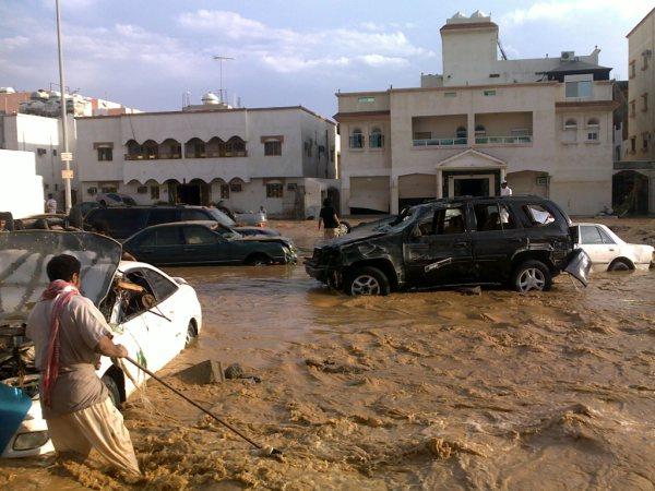 :	4.jpg
: 618
:	57.7 