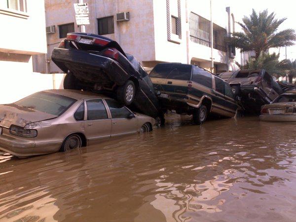 :	7.jpg
: 538
:	48.0 