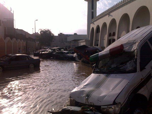 :	8.jpg
: 625
:	45.3 