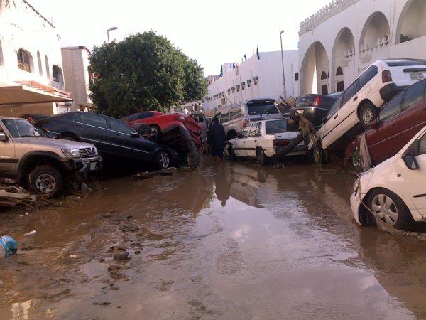 :	9-.jpg
: 550
:	49.8 