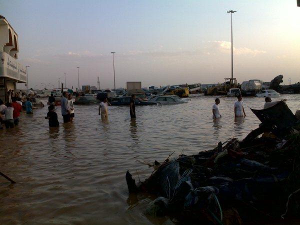 :	dd.jpg
: 732
:	36.0 