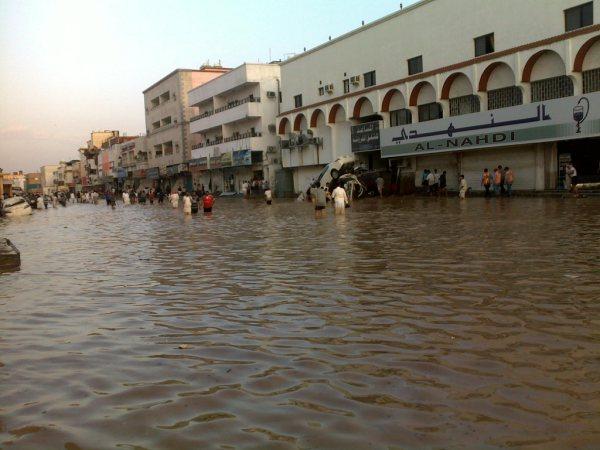 :	dfbdfb.jpg
: 563
:	45.2 