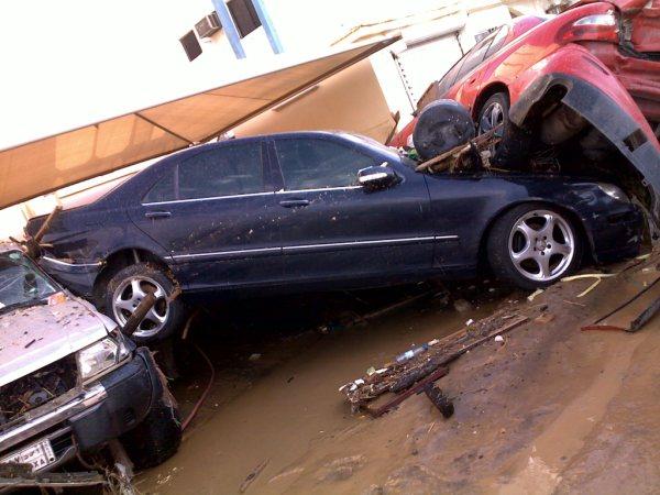 :	e3.jpg
: 551
:	50.9 