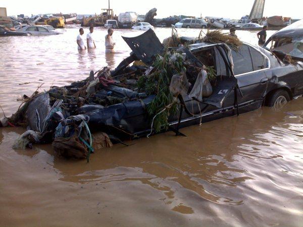 :	l.jpg
: 620
:	50.2 