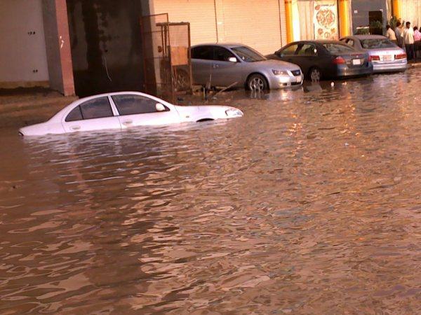 :	klkl.jpg
: 375
:	52.5 