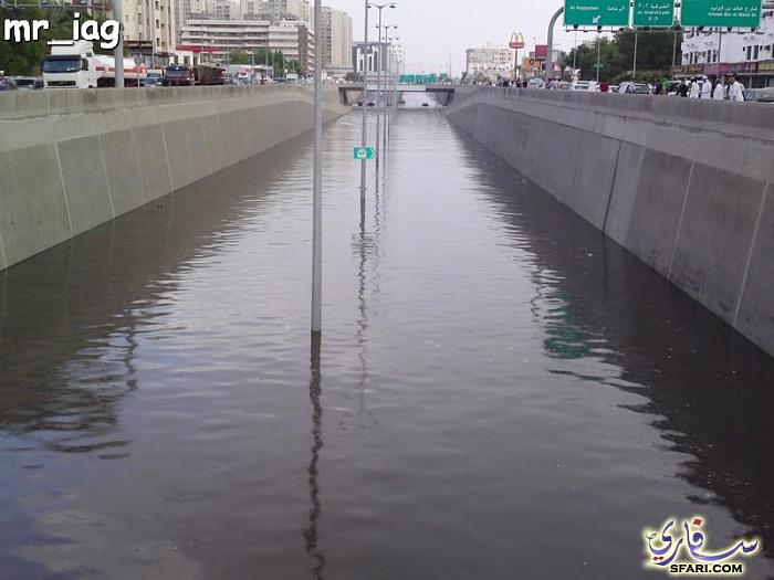 ���� ��� ������ ���� ����

�����:	���.jpg
���������:	354
�����:	51.8 ��������
�����:	2828