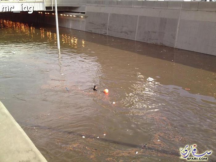 ���� ��� ������ ���� ����

�����:	�����.jpg
���������:	395
�����:	63.1 ��������
�����:	2830