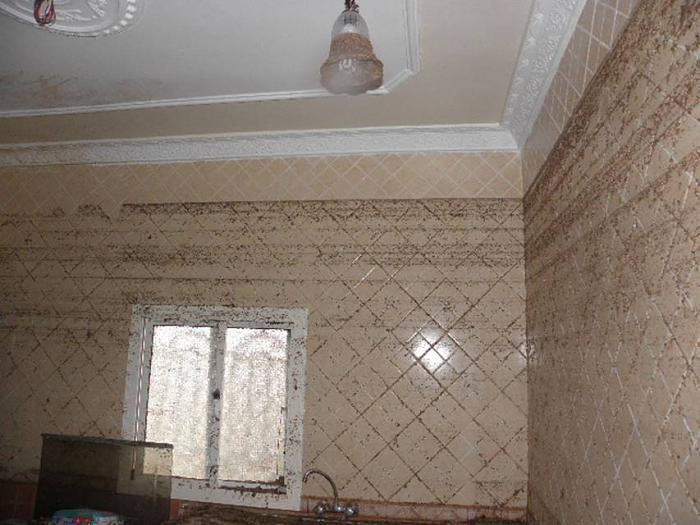     

:	7777777777.jpg
:	420
:	69.0 
:	2872