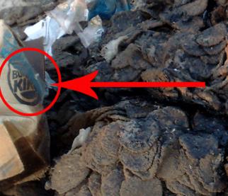 :	11.jpg
: 317
:	19.8 