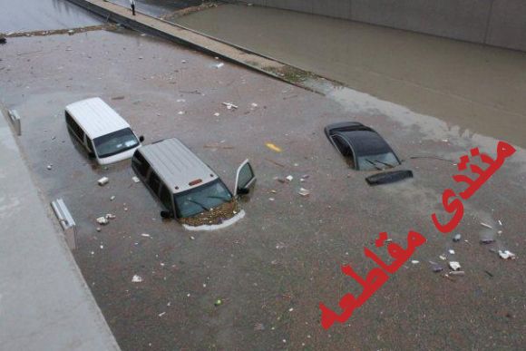 :	q22.jpg
: 379
:	34.1 