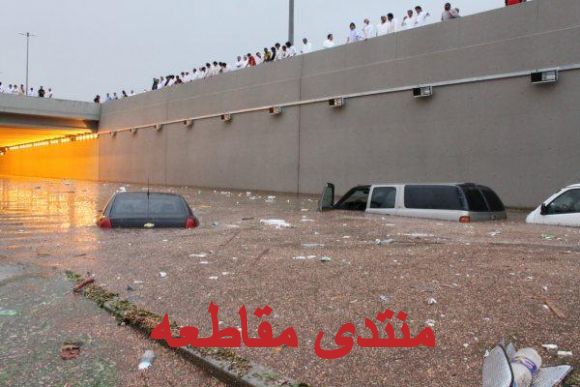 :	q19.jpg
: 333
:	41.1 