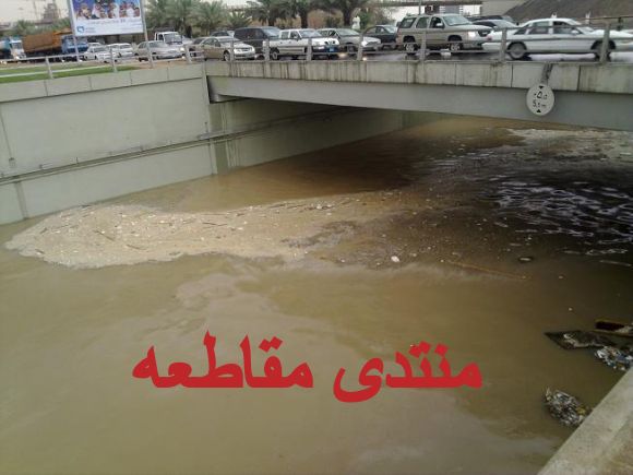 :	q17.jpg
: 327
:	36.4 